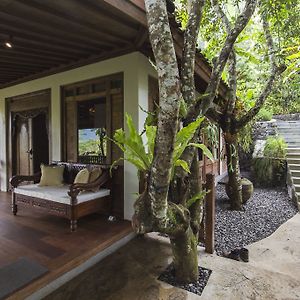Garden Plunge Pool Villa